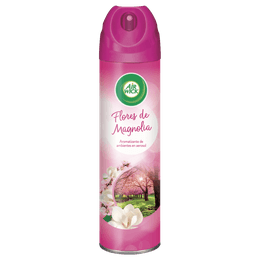 Aerosol Magnolia copia.png